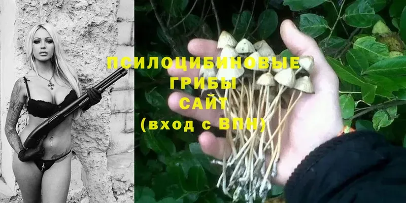 Галлюциногенные грибы MAGIC MUSHROOMS Ужур